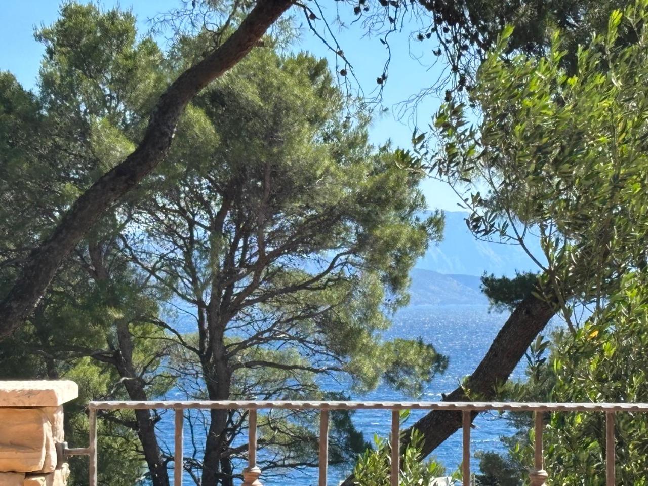 Vila Familia Hvar - 5