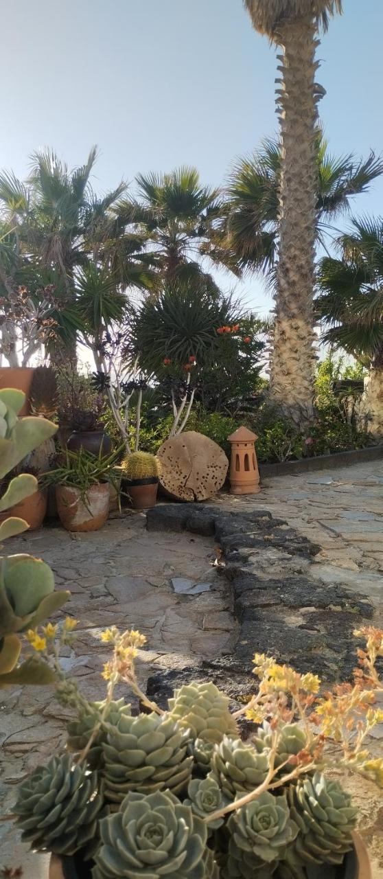 Stylish loft with views to cliffs, garden and beach of Famara - 2