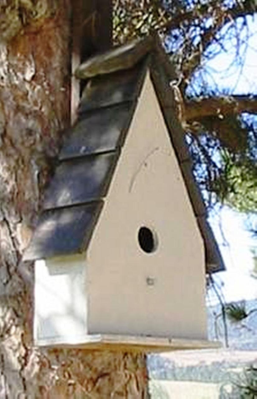 Poggio Cantarello Vacanze photo 4