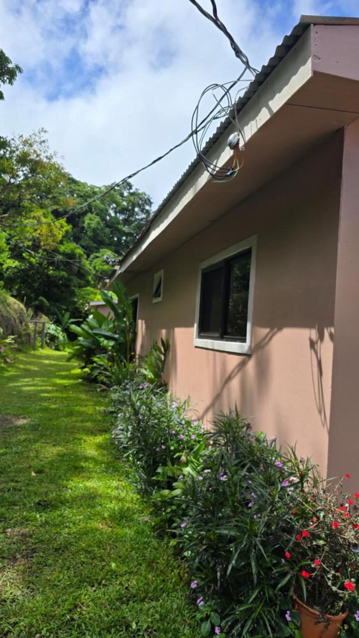 Monteverde House photo 2