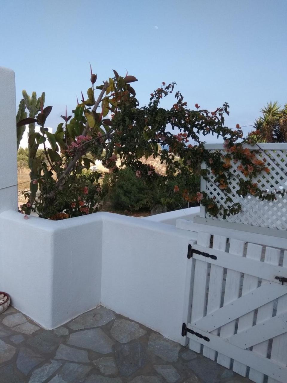 Sirokos Studio at Winds House in Ampelas - 5