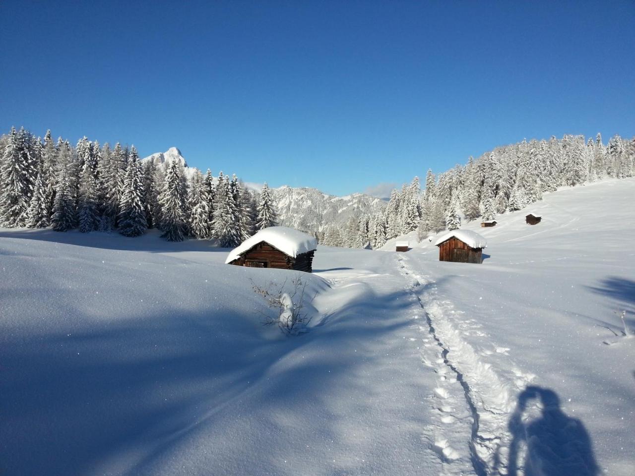 Plan Murin - Authentic Dolomites Hotel photo 3