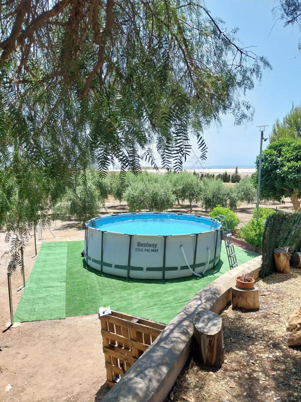VENTA PURA - 4