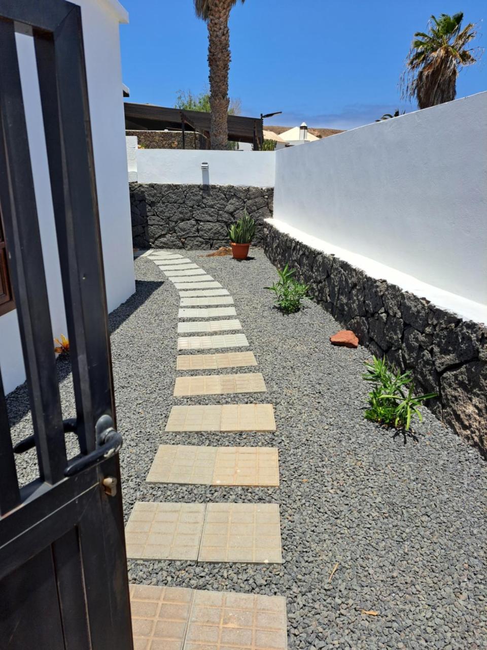 Bella Blanca - 3
