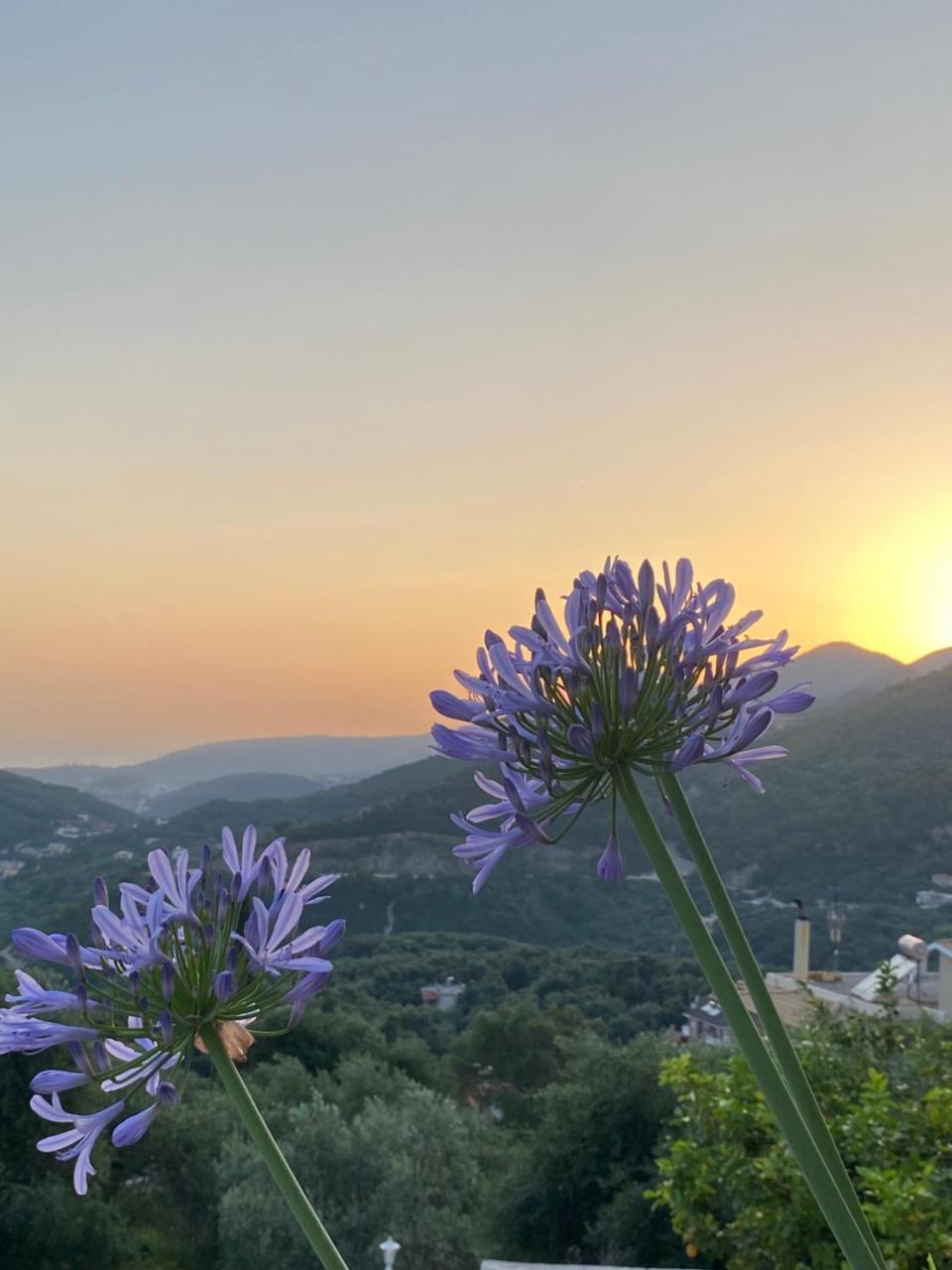 Vito's Parga View Apartments - 6