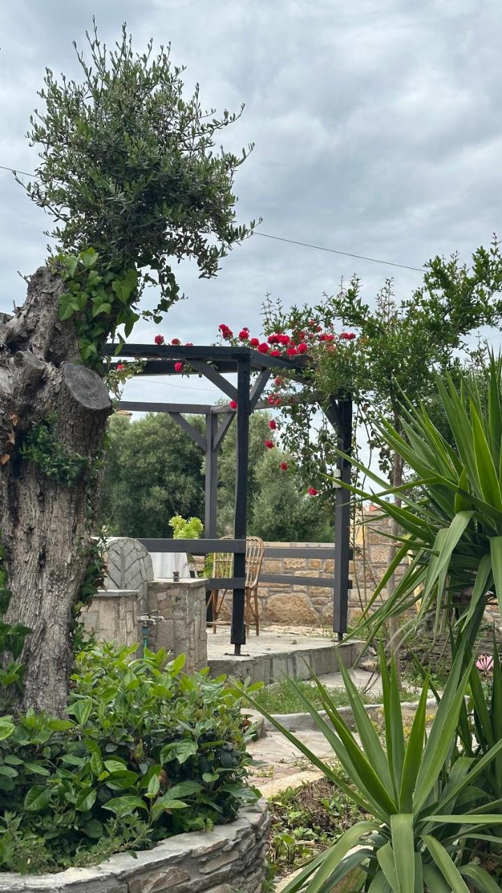 Greek Mansion - 4