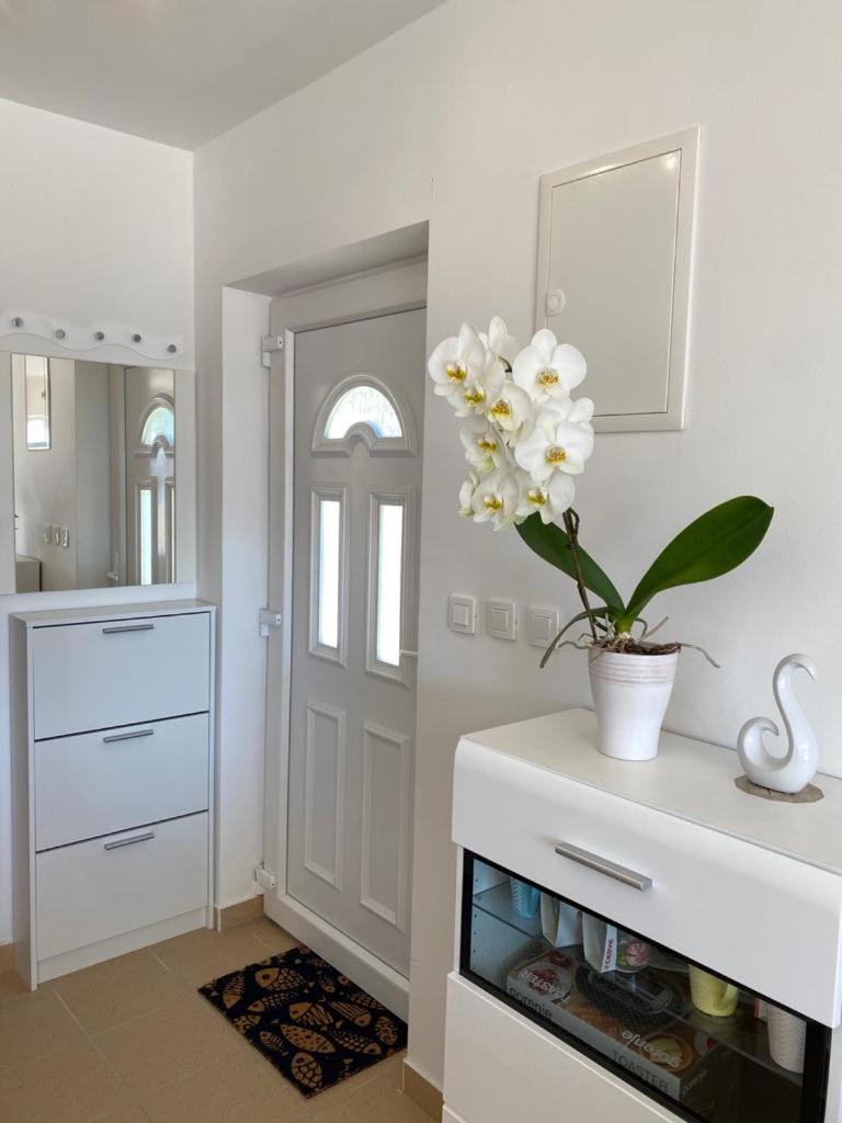 Apartments vila Celice - Jugo Okrug Donji - 5