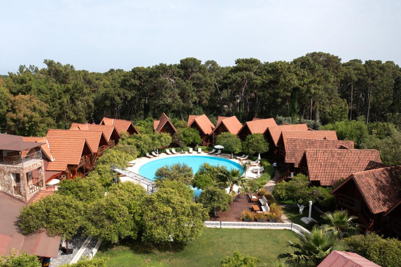 Photo - Woodline Hotel
