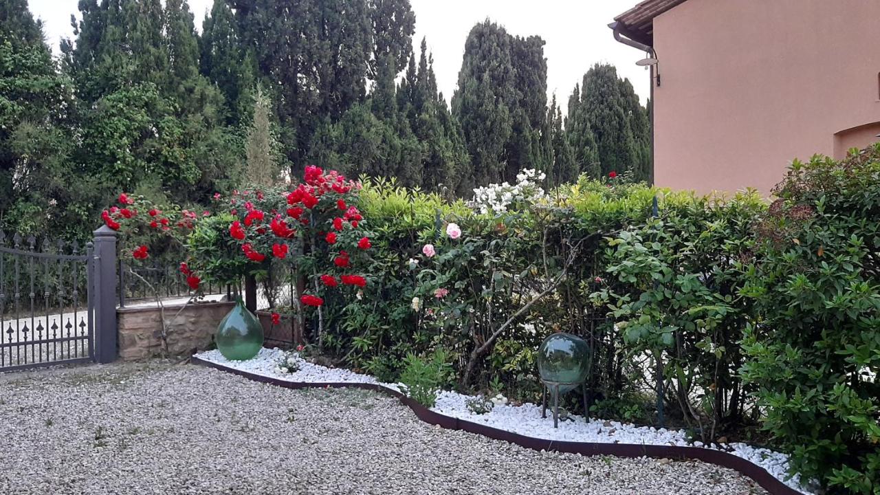 Antico Casolare photo 4