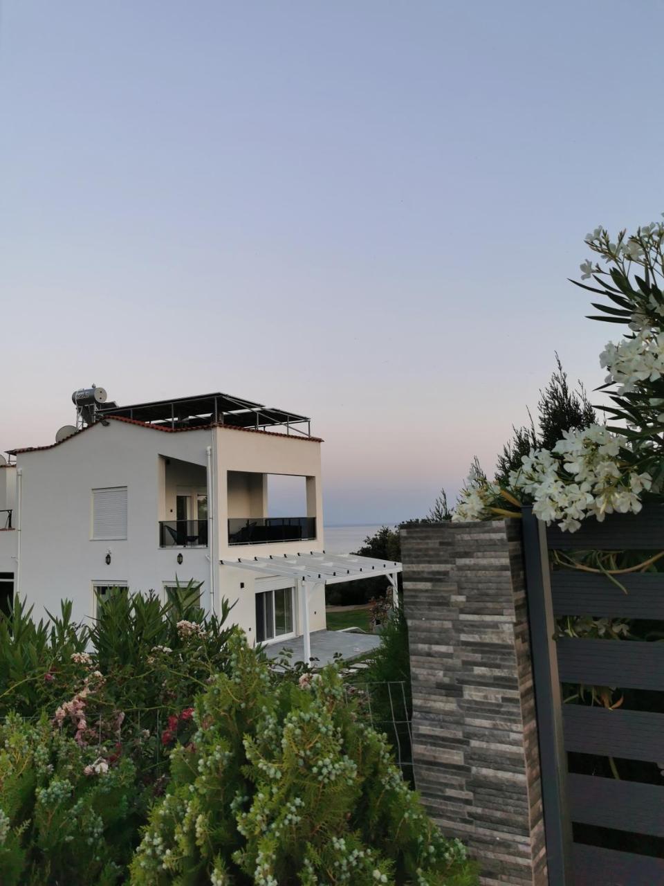 Platan Paradise - 3