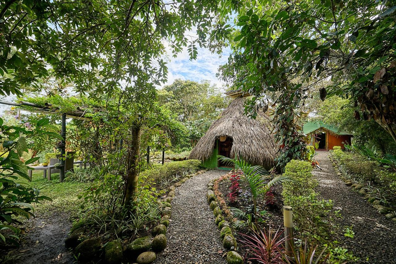 Finca Ecológica El Maco photo 2