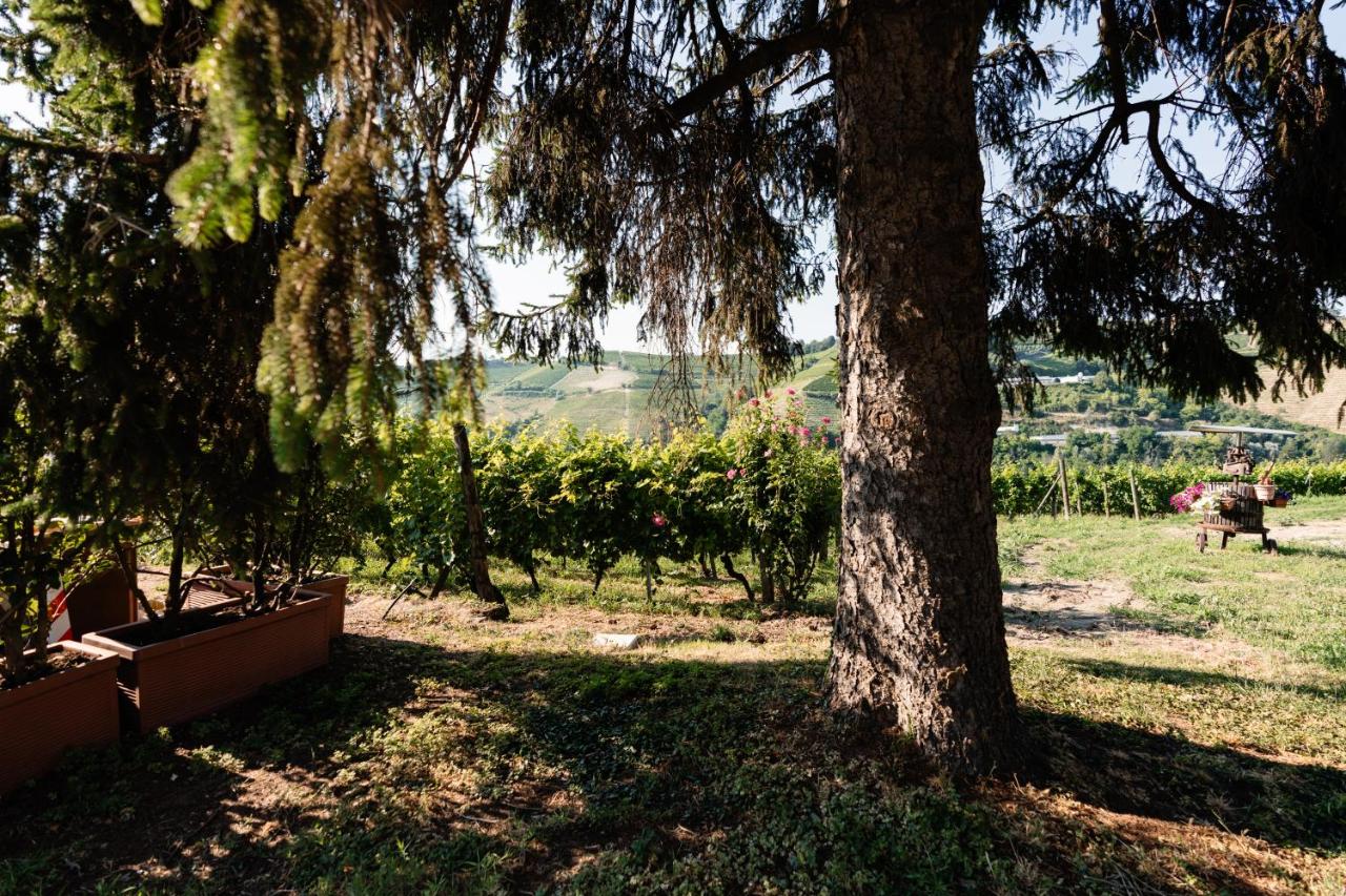 Cadgal - Tenuta Valdivilla photo 2