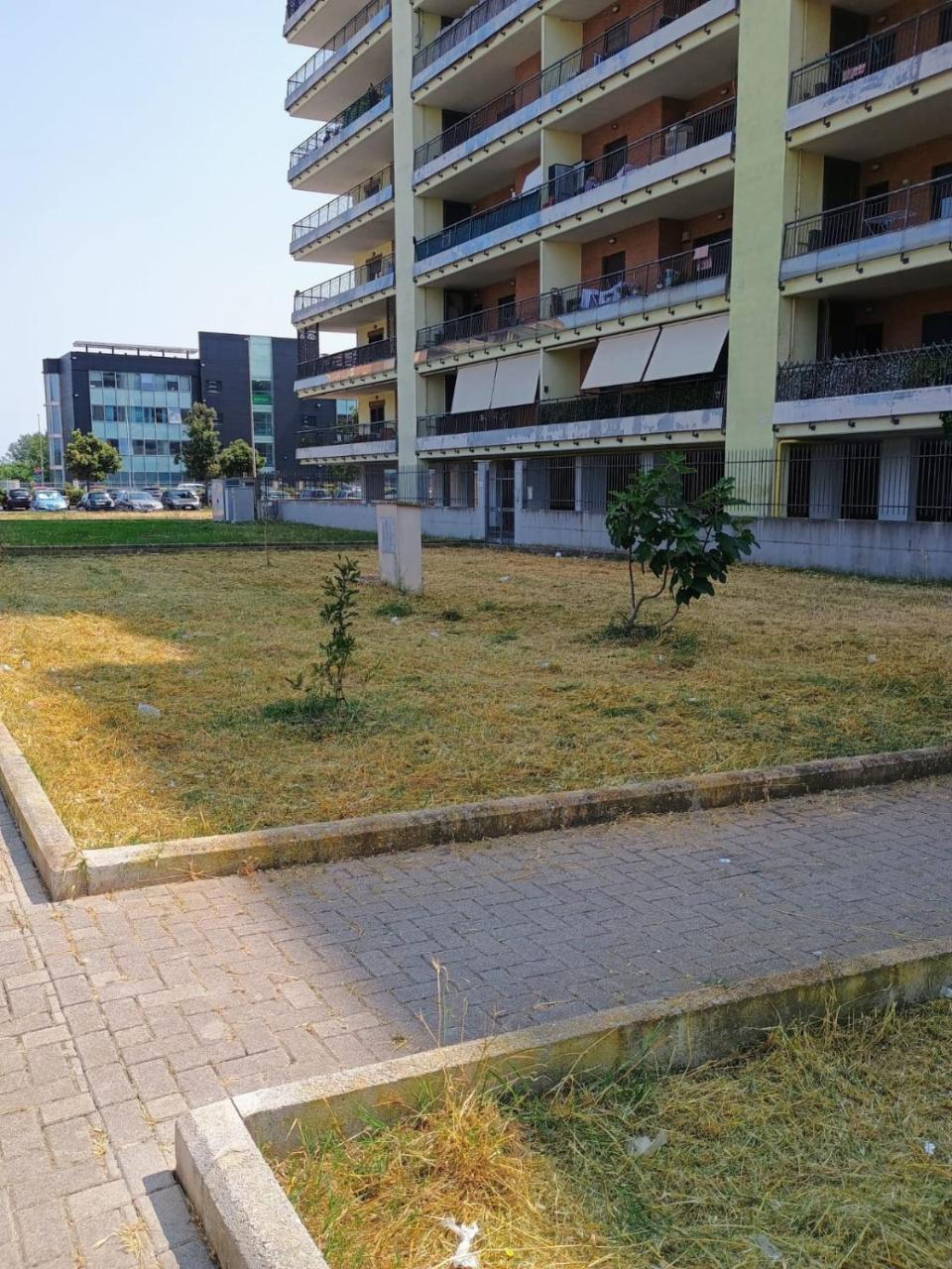 Suite Fiera&Airport - 4
