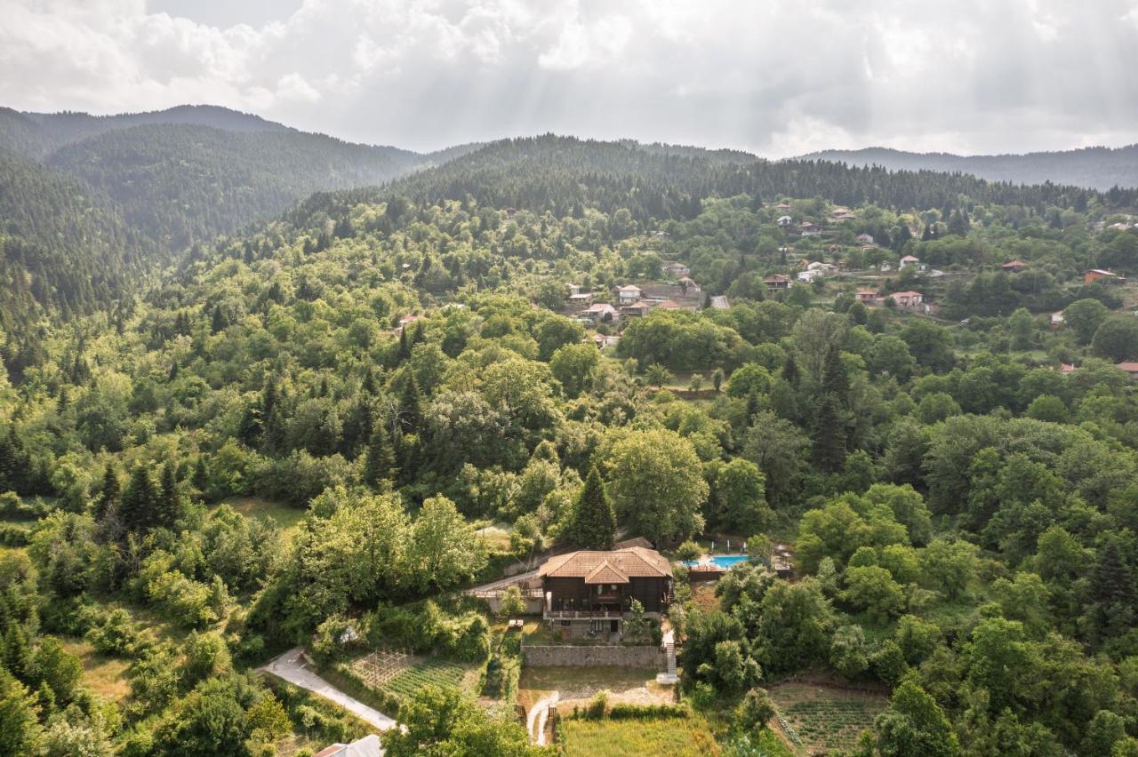 Yliessa Chalet - 3