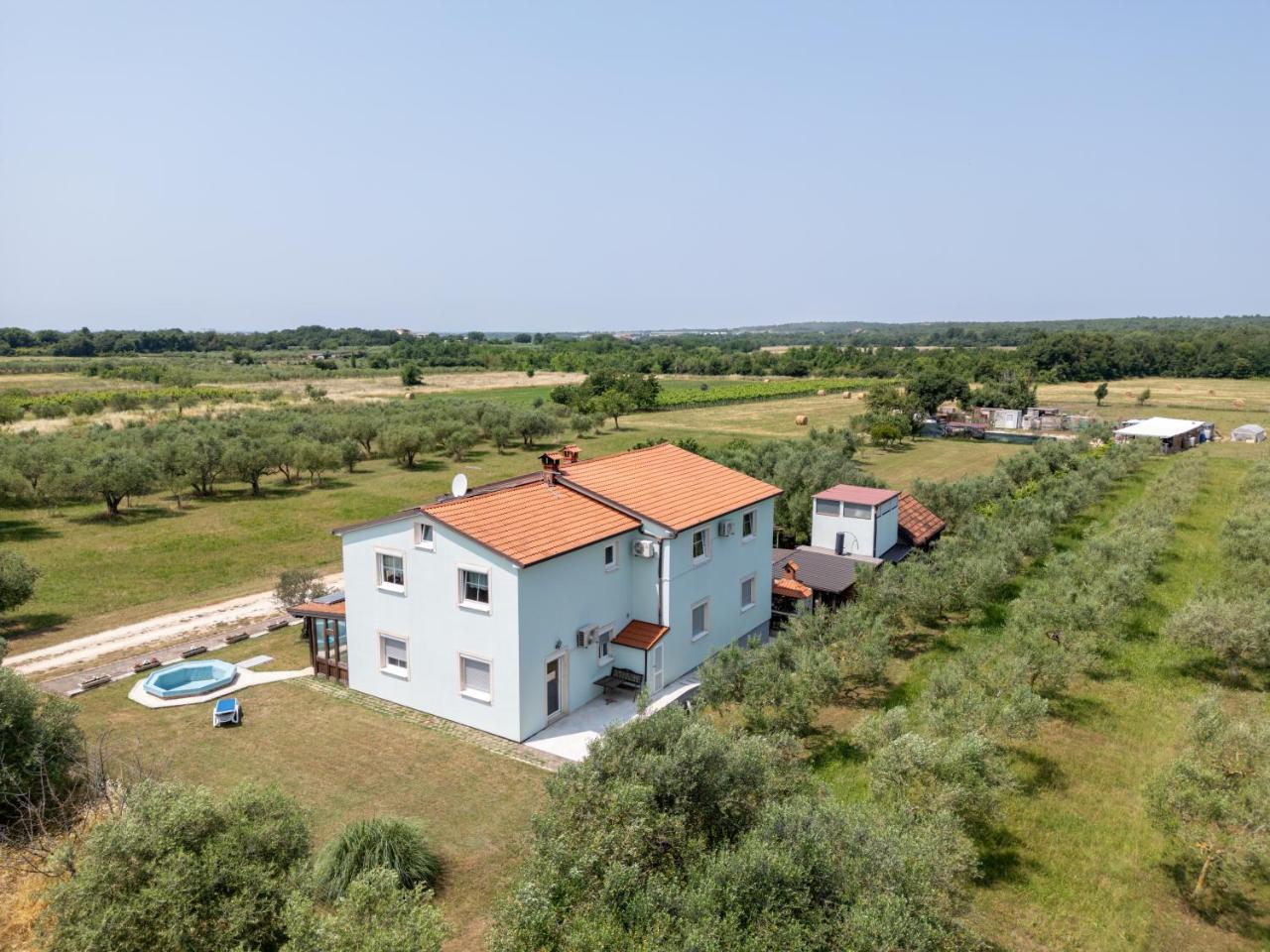 Apartments Ždravac - 5