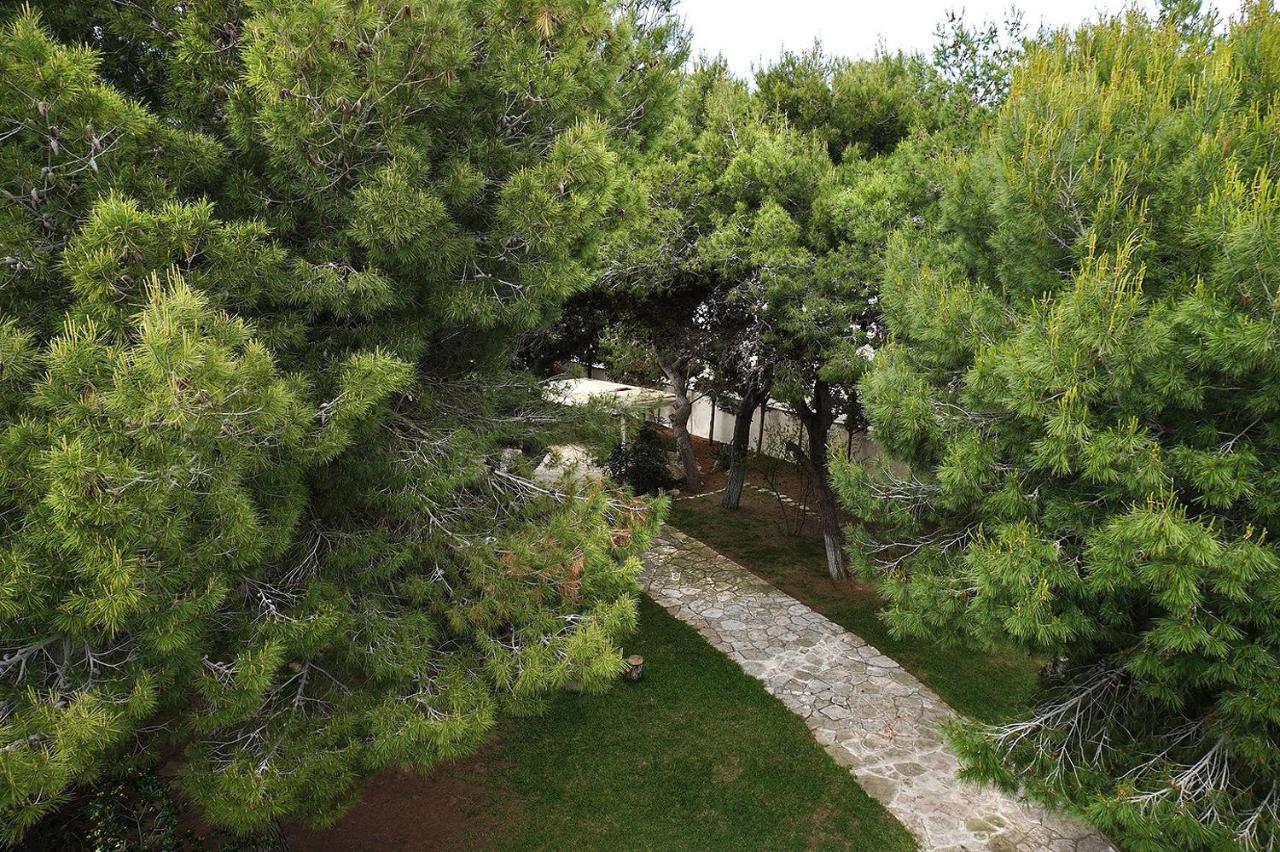 Photo - Villa Memia