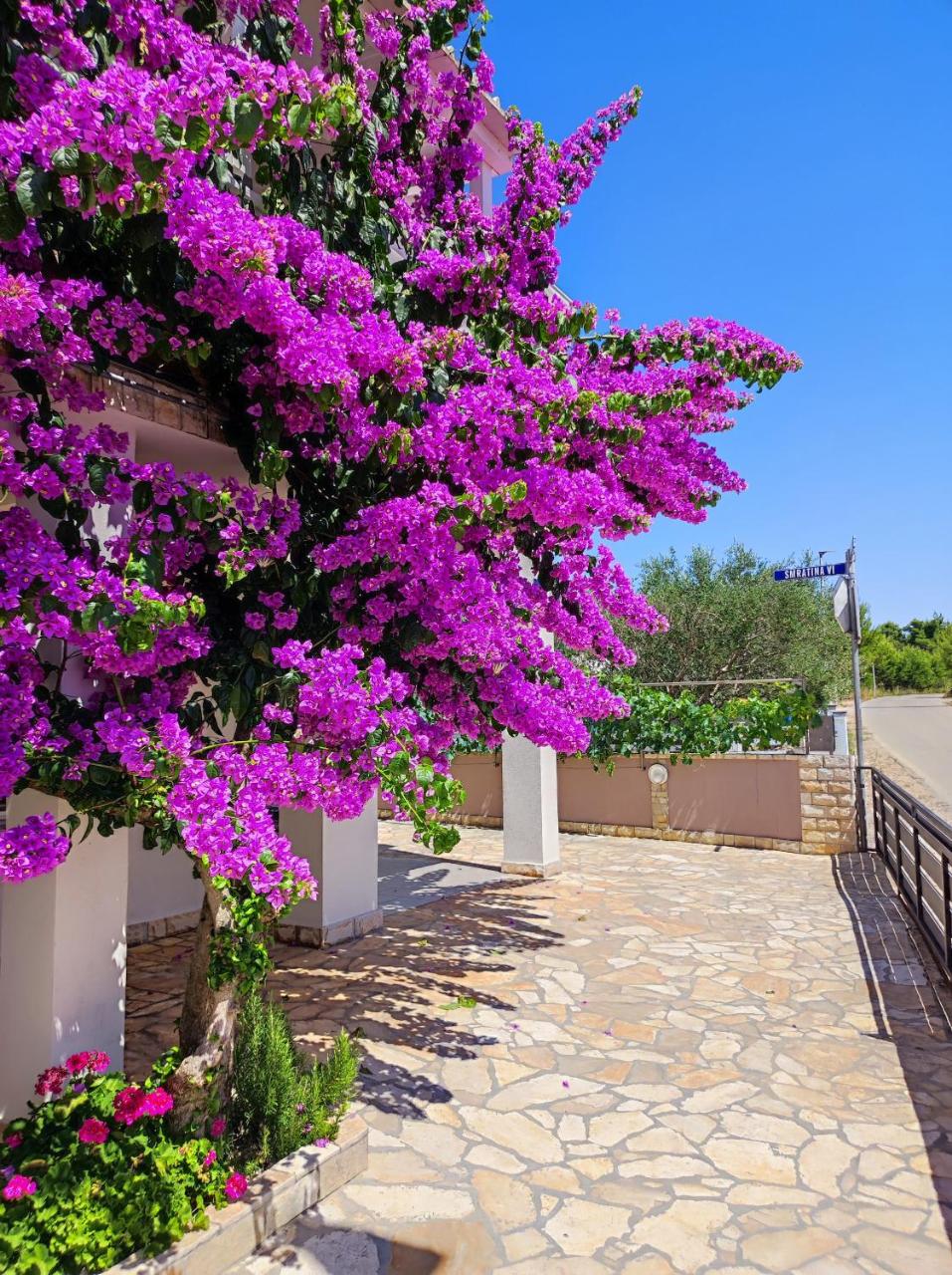 Apartments Jolić - 6