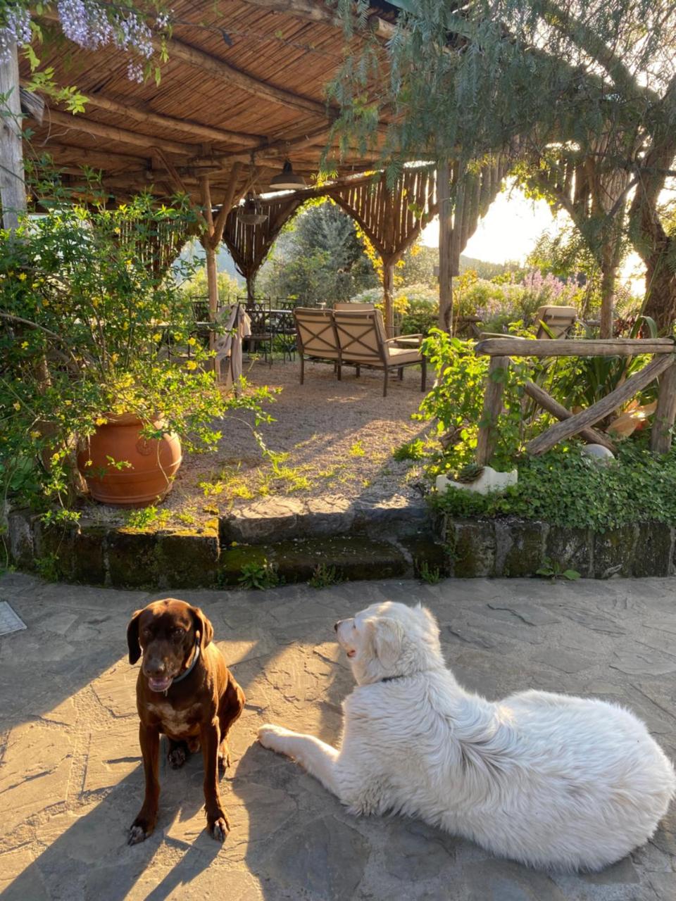 Agriturismo L'Olivara