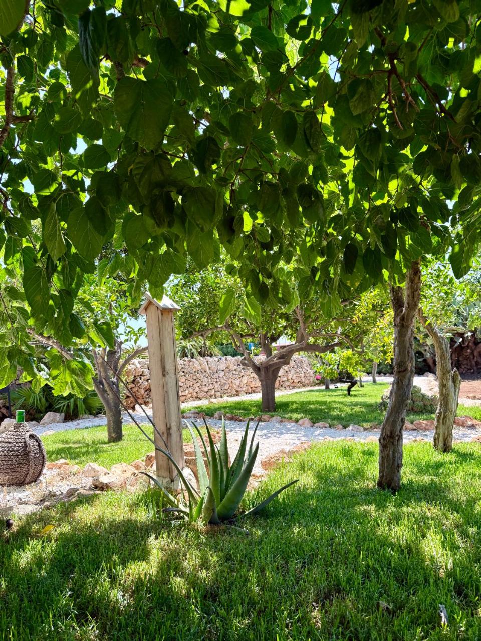 Villa Chimera - 4