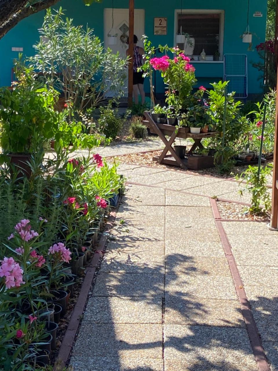 Arvisura Vendégházak family and pet friendly apartments - 4