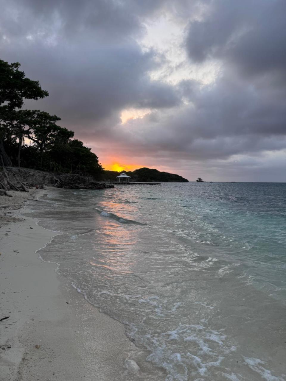 Palma Plata islas del Rosario