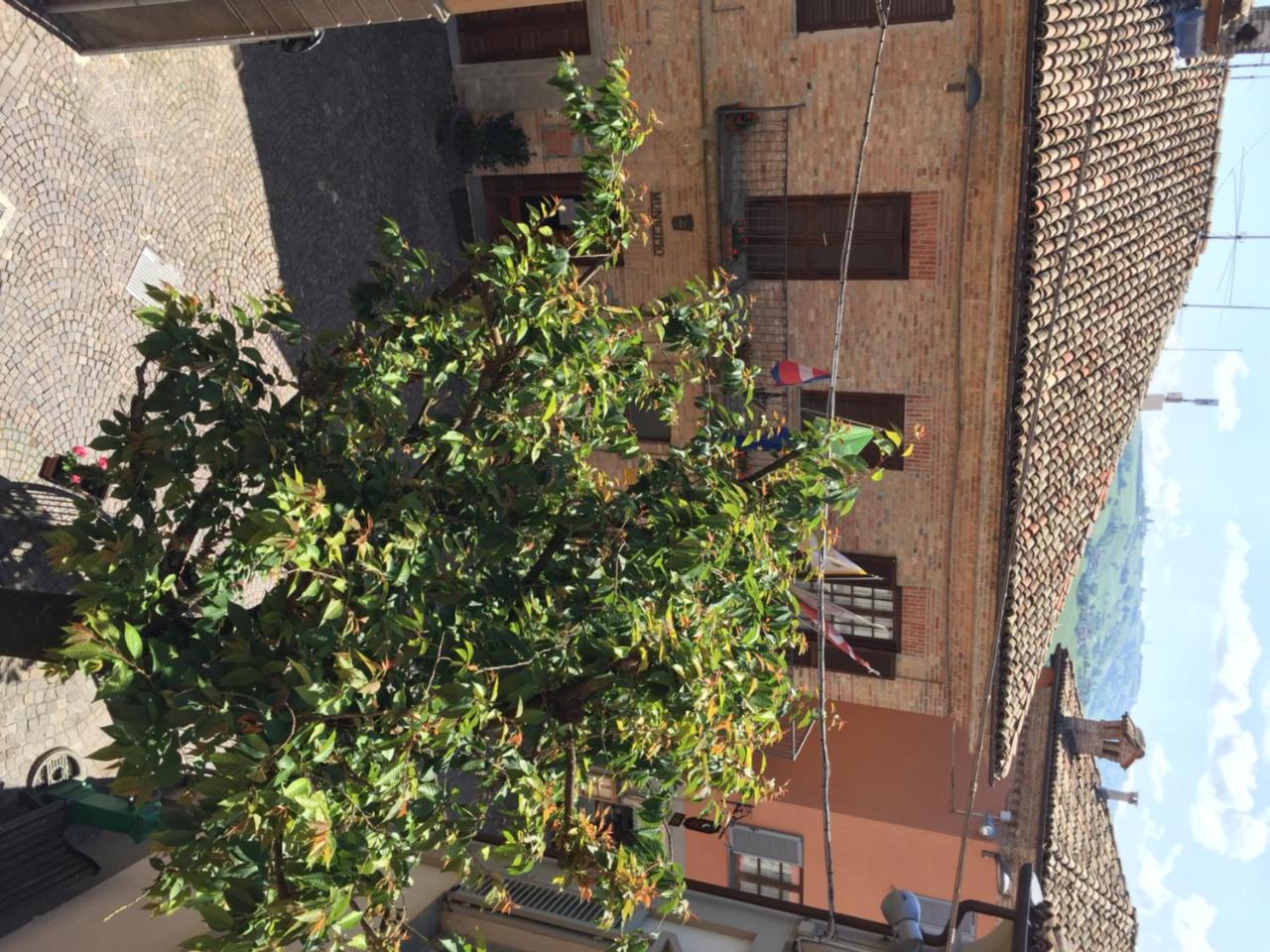 Castelbourg photo 4