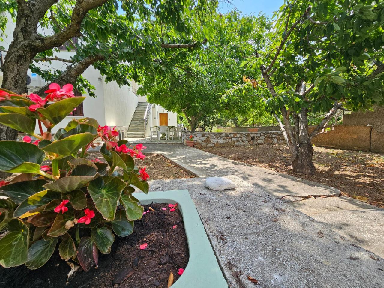 Floréa Skopelos - 4