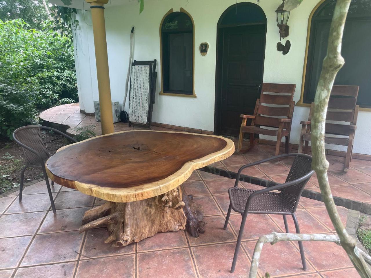 Foto - spirit of jungle lodge
