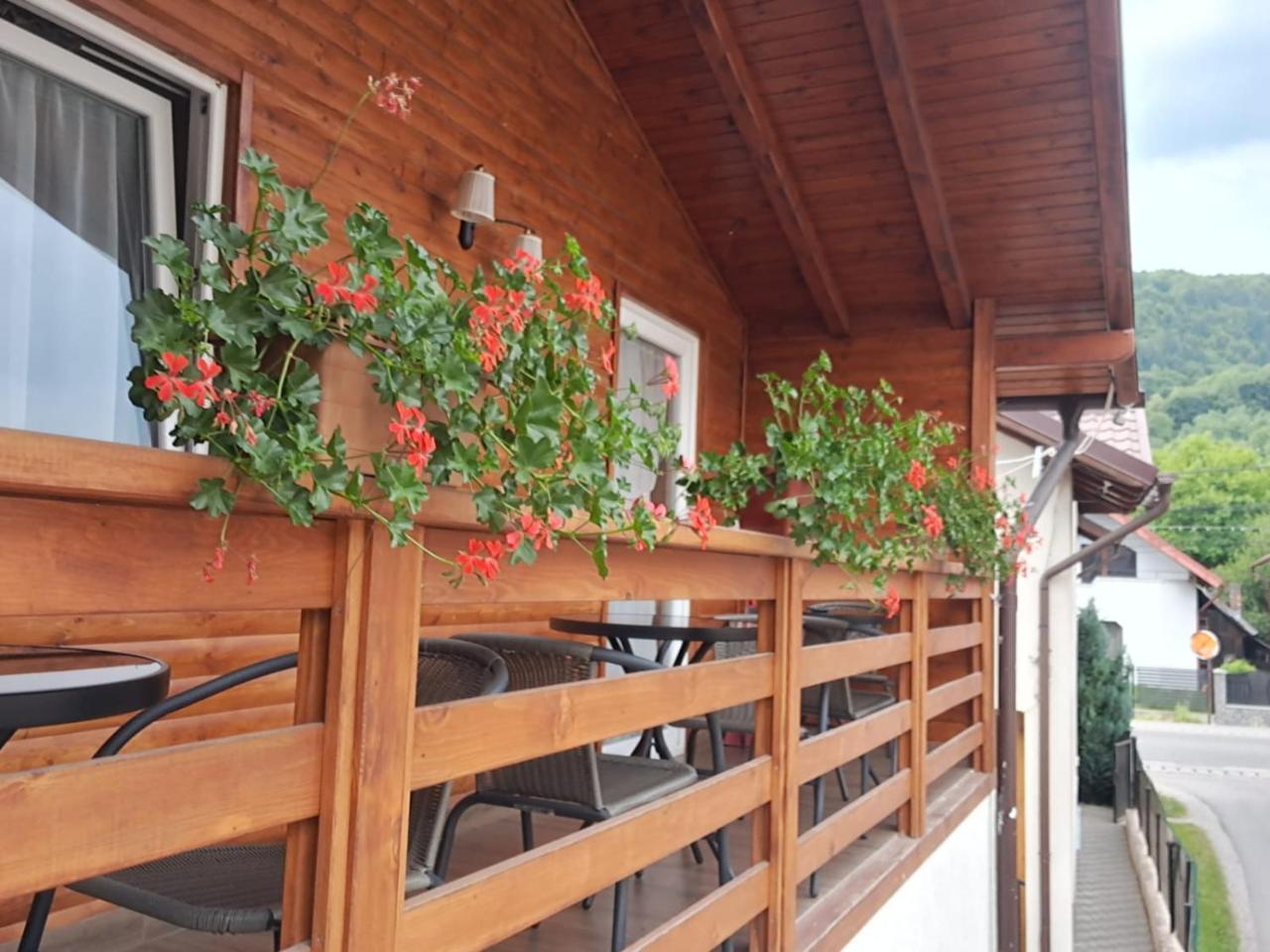 Casa Cristiana Moisei - 5