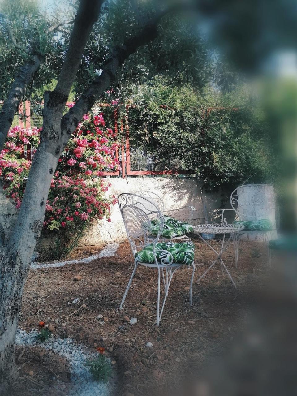 Gerali house - 5