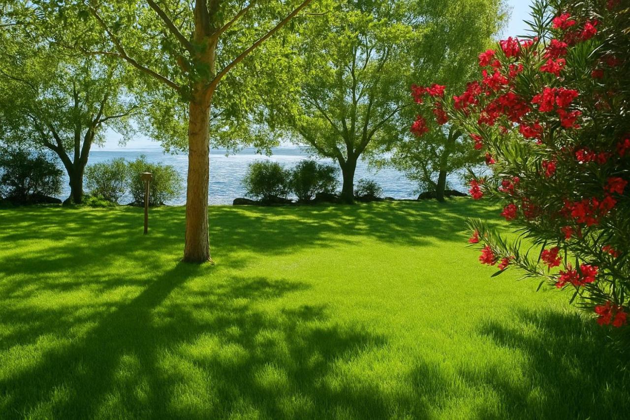 International Glamping Lago Di Bracciano