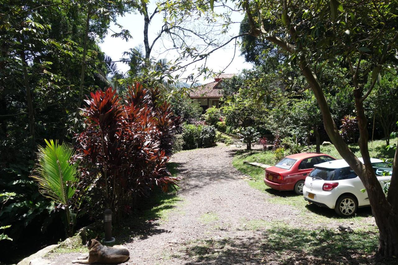 El Romeron Casa de Campo photo 2