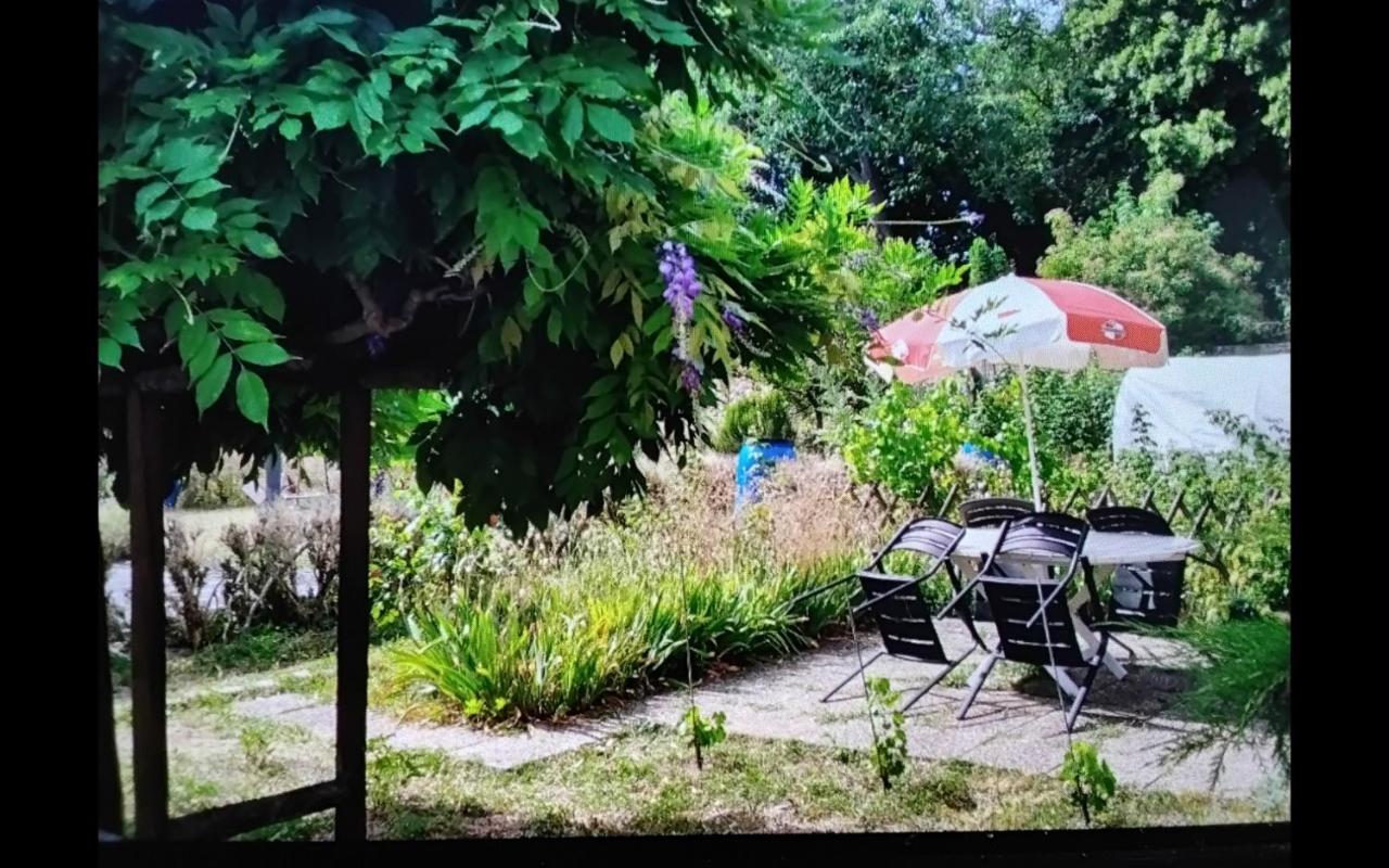 Studio côté jardin - 2