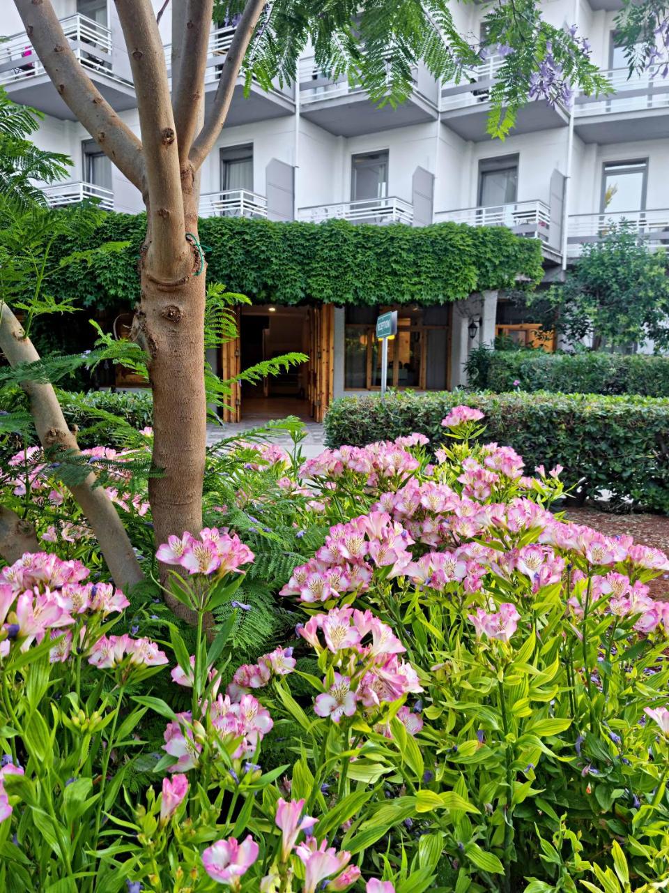 The Grove Seaside Hotel photo 3