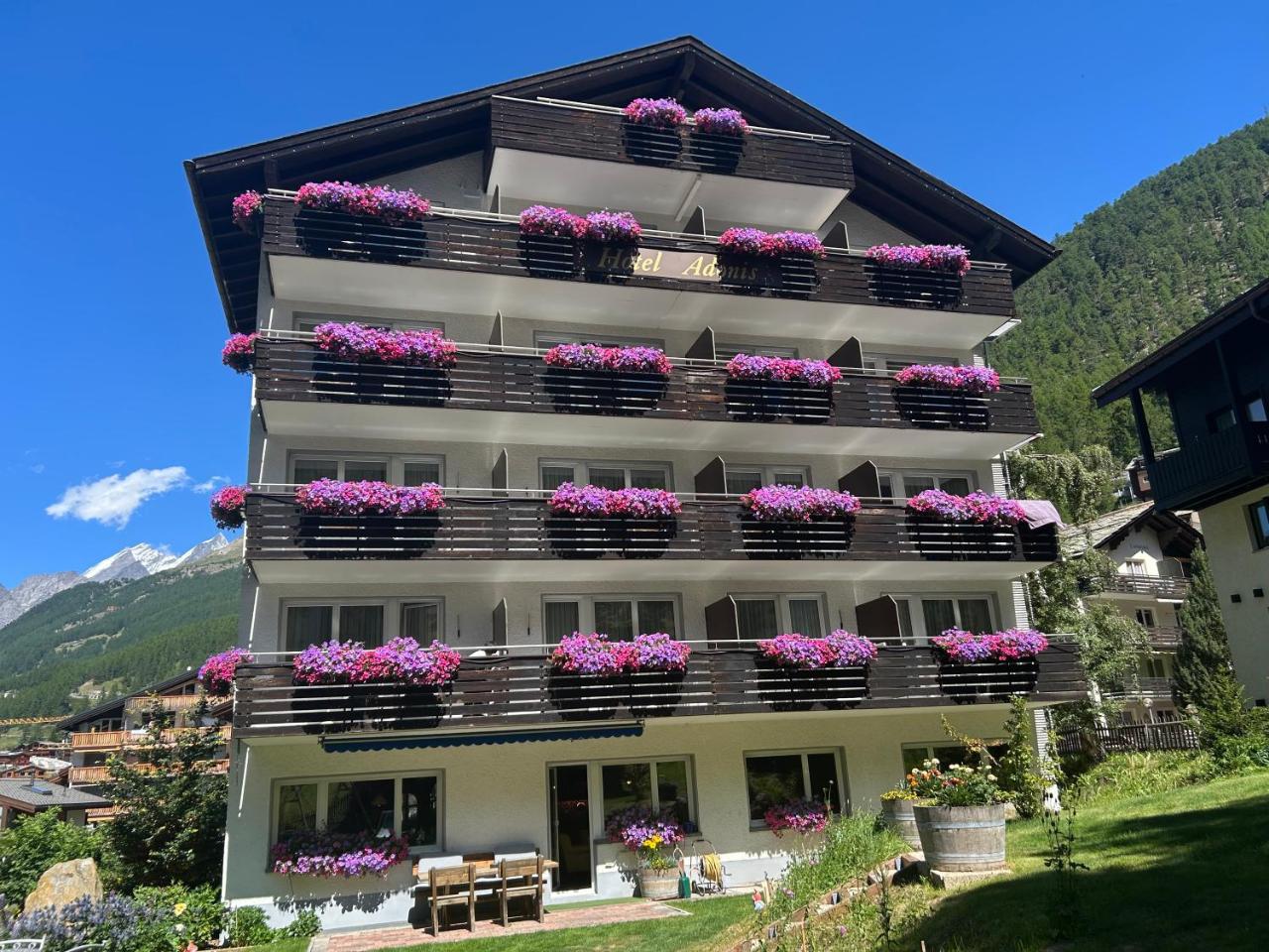 Photo - Hotel Adonis