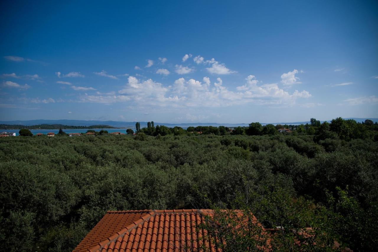 Olivegrove House - 6