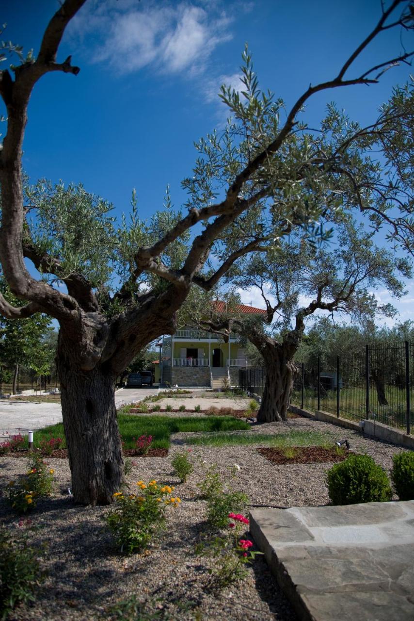 Olivegrove House - 4
