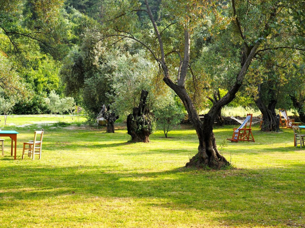 Emel Pension photo 4