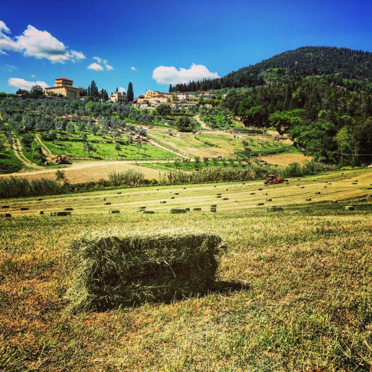 Fattoria di Maiano photo 4