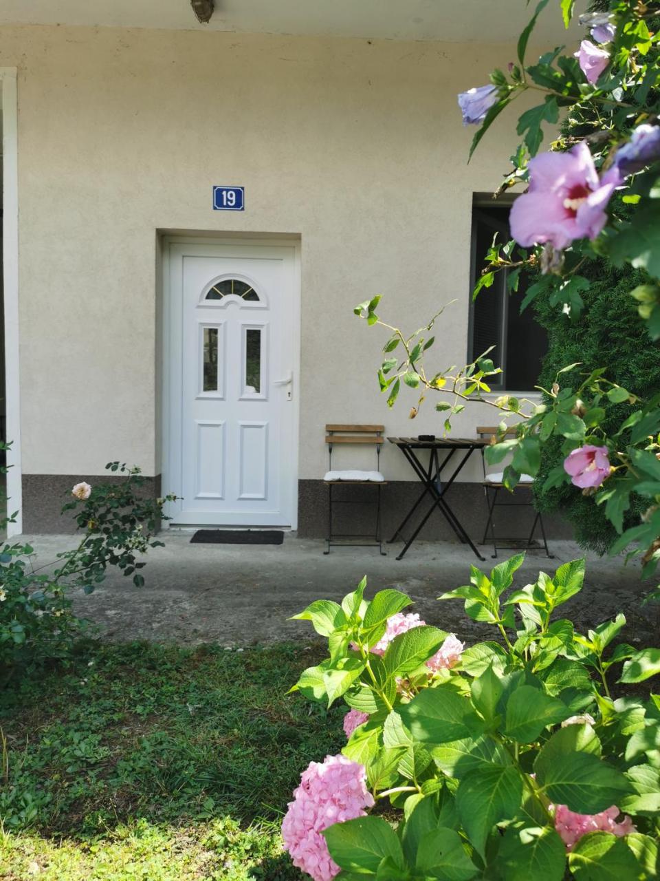Novi Apartman 19 - 4