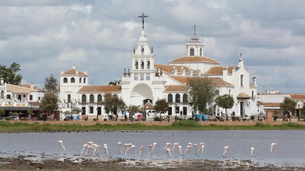 Hotel Doñana Blues photo 3