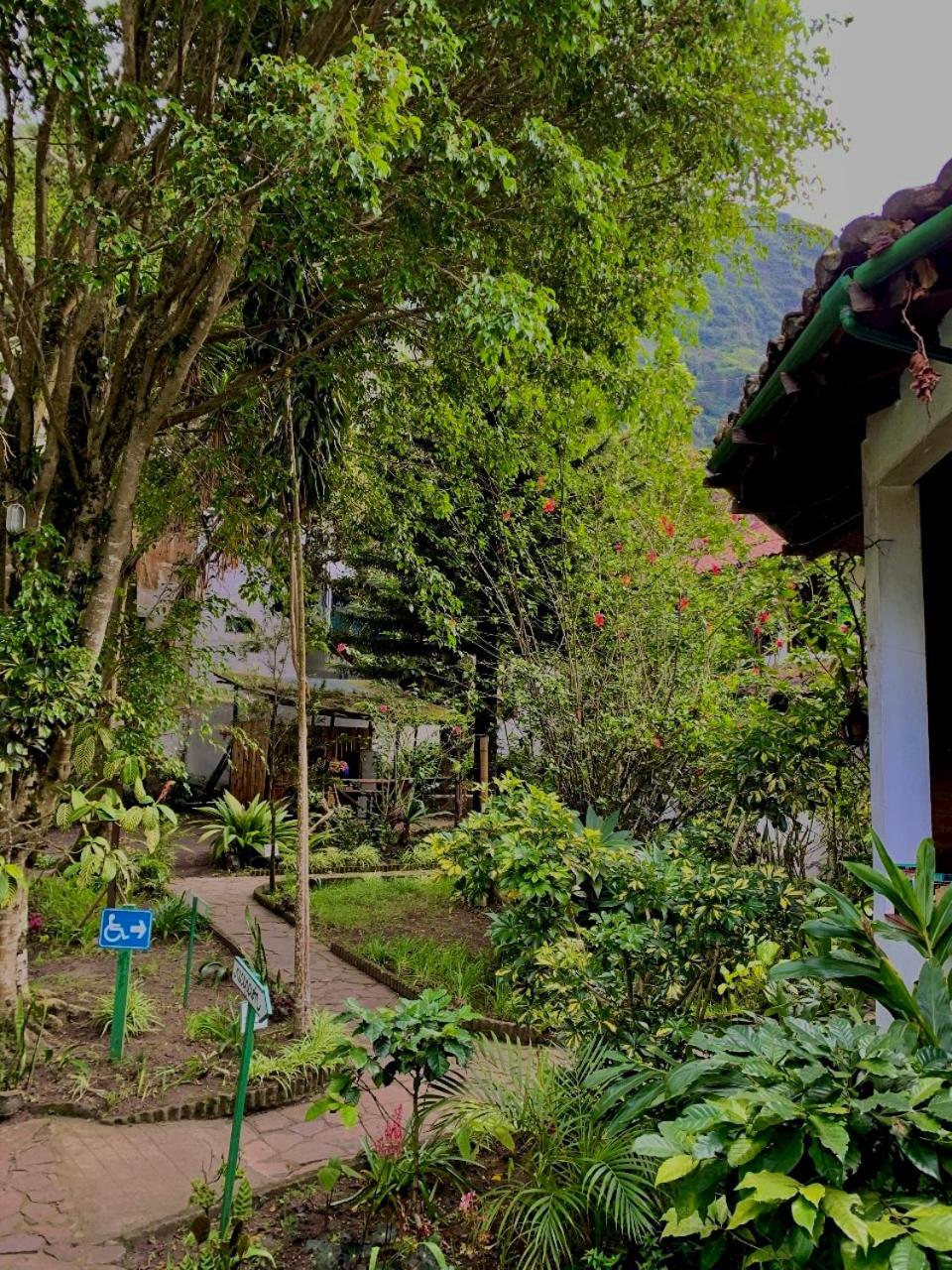 Le Petit Jardin photo 3