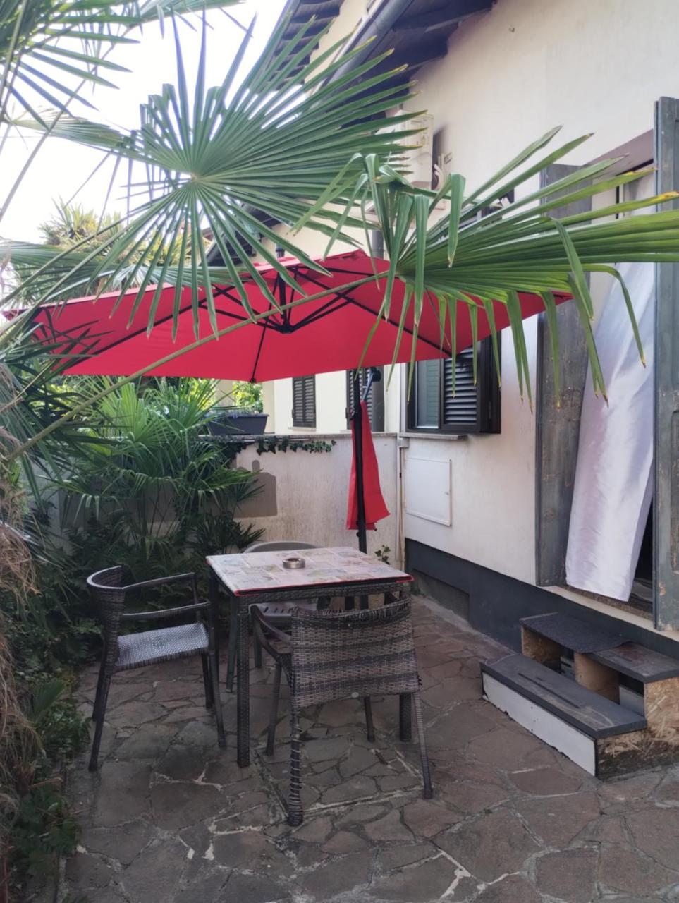 Monolocale, 10' dal centro, dall'aeroporto, con patio esterno - 6