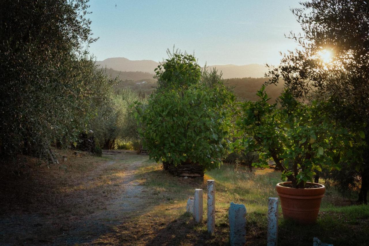 La Locanda Cuccuini photo 4