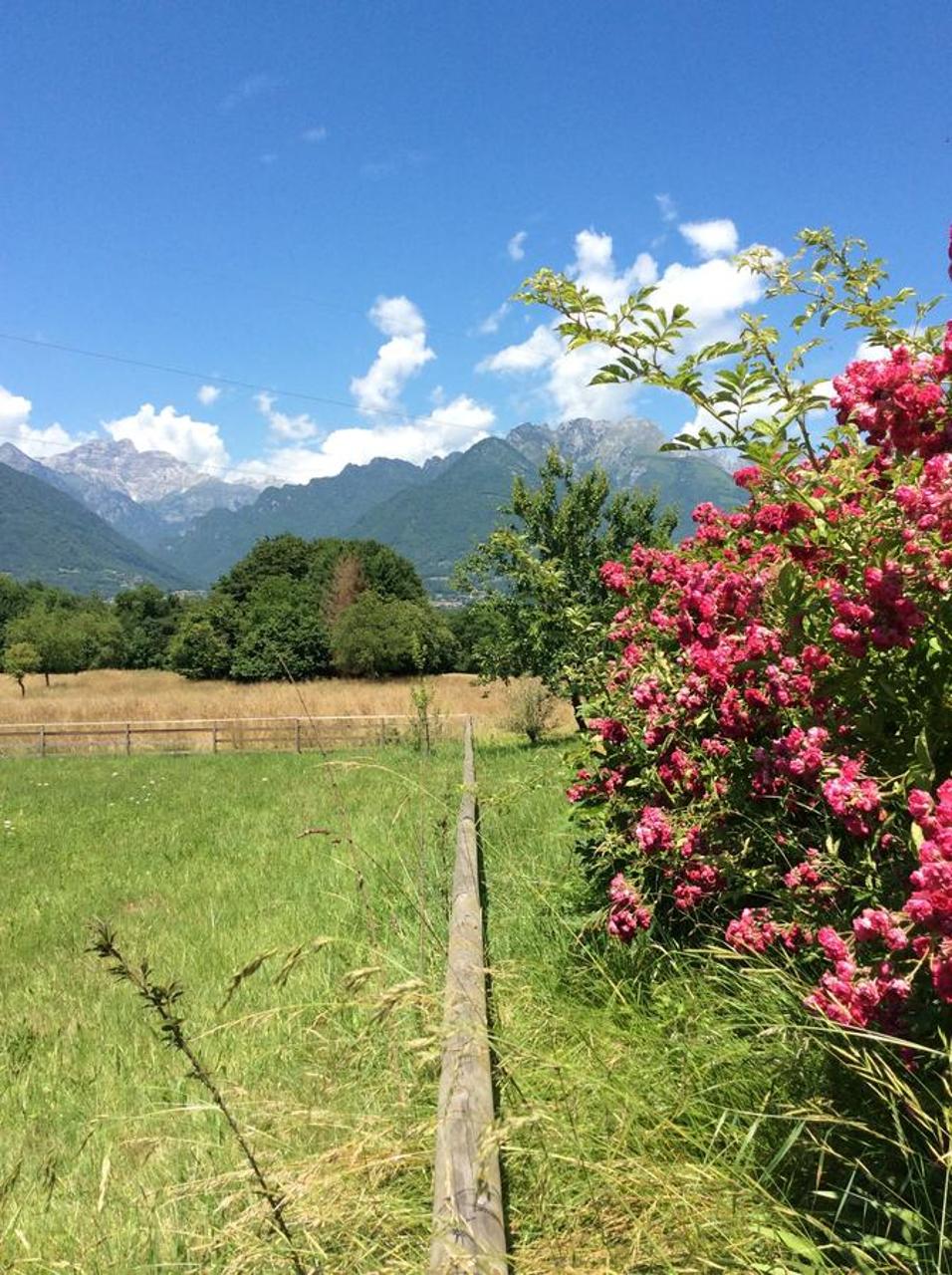 Il mondo roverso photo 2