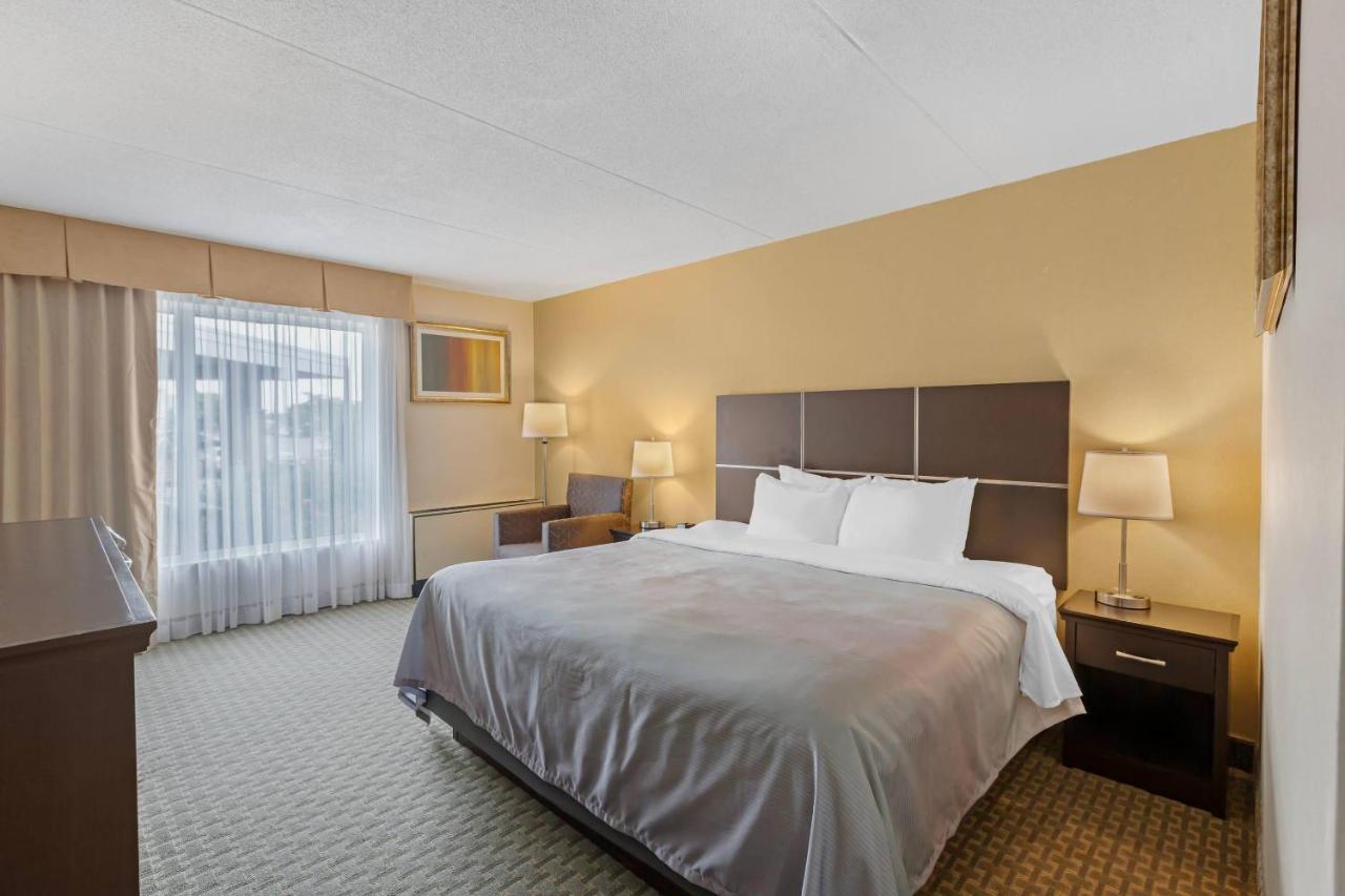 Quality Inn & Suites photo 3