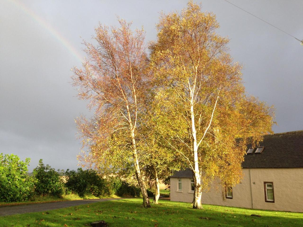 Eastwood Cottage photo 4
