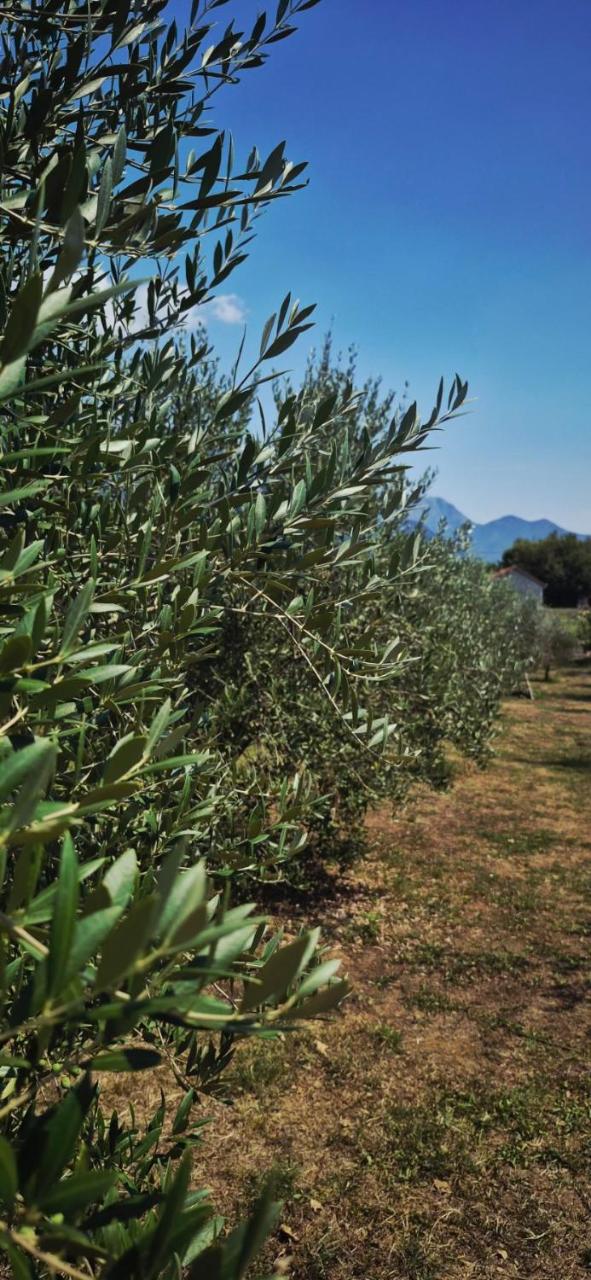 Holiday home “Olive” - 4