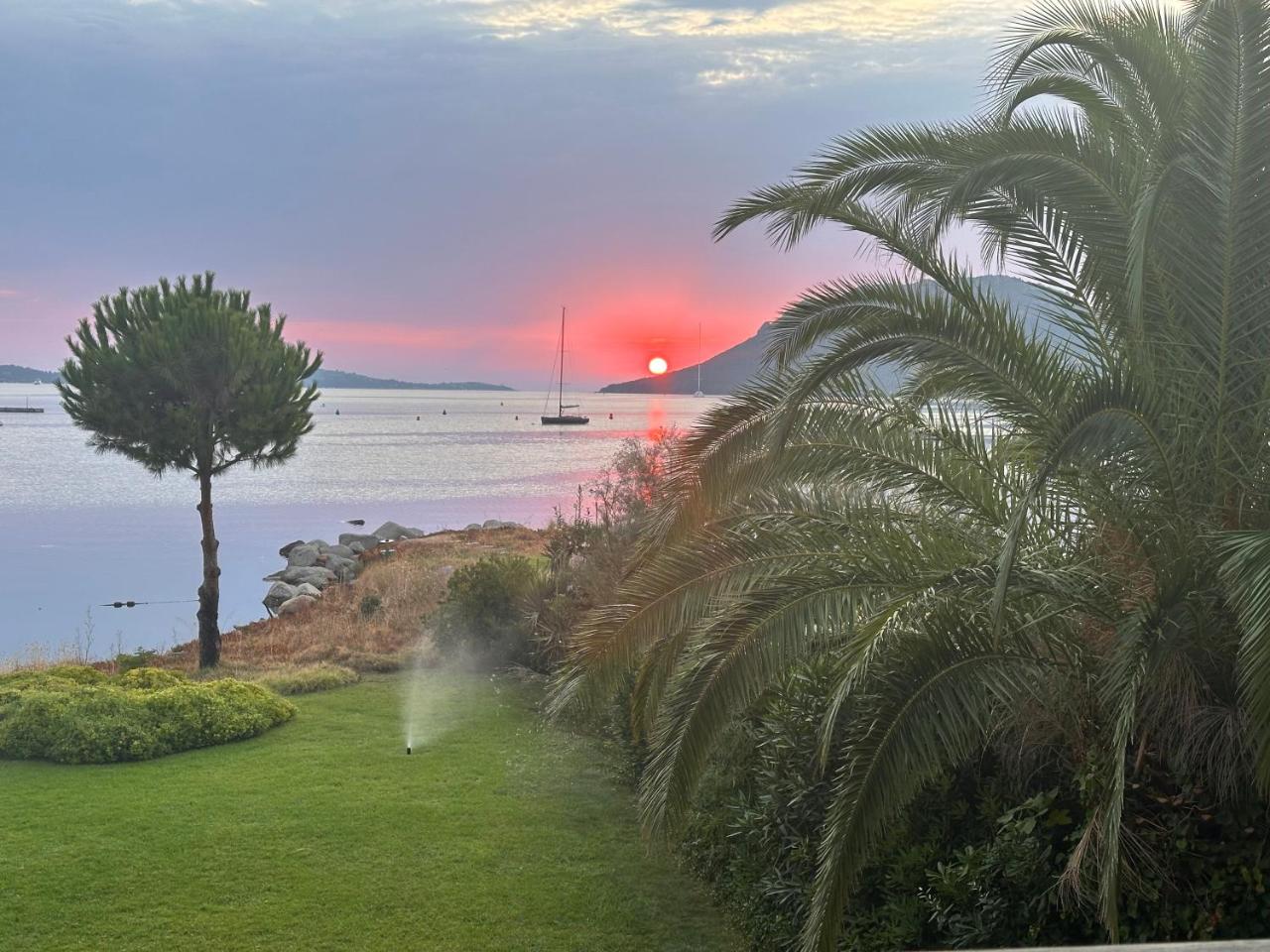 Les oliviers 11 Appartement, bord de mer, porto-vecchio - 3