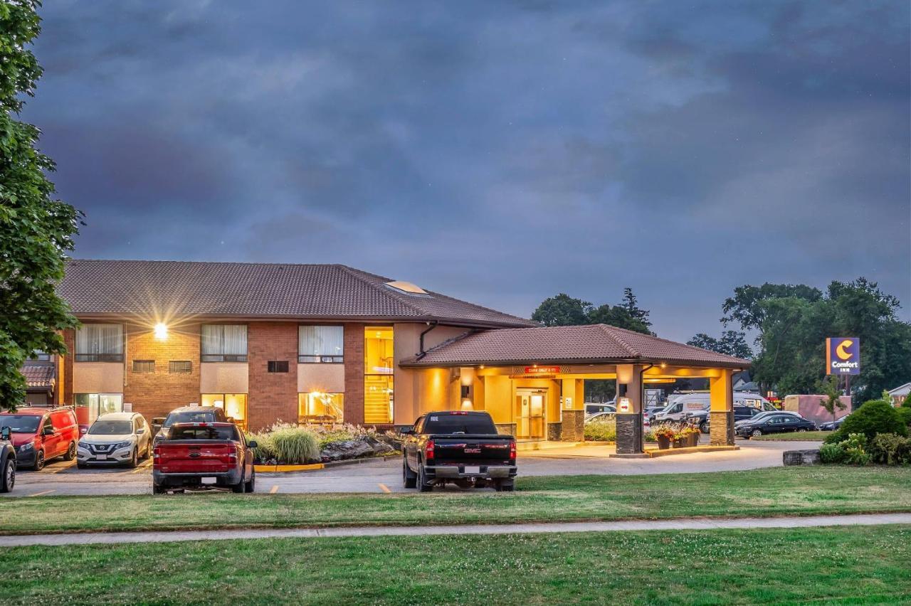 Foto - Comfort Inn Chatham